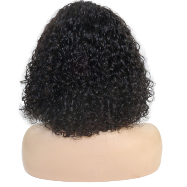 Pricilla Reign short curly natural wig back